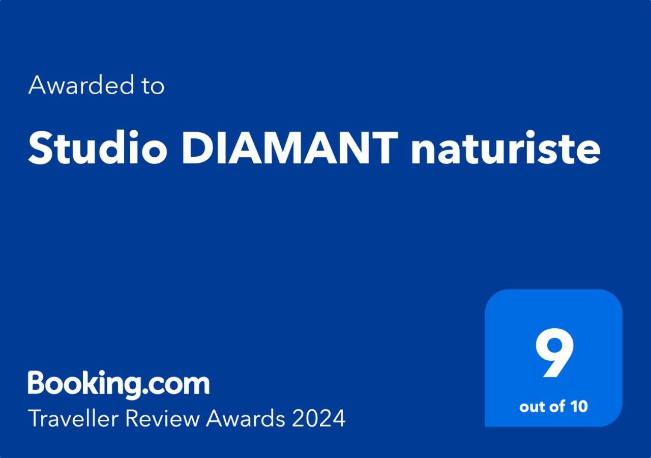 Studio Diamant Naturiste Agde Εξωτερικό φωτογραφία